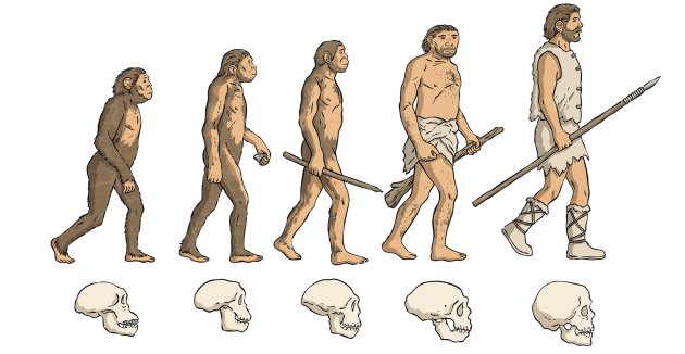 evolution-wiki_ver_1