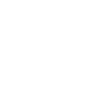 BSC logo